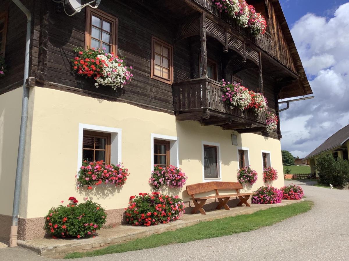 Villa Kniebergerhof Liebenfels Esterno foto
