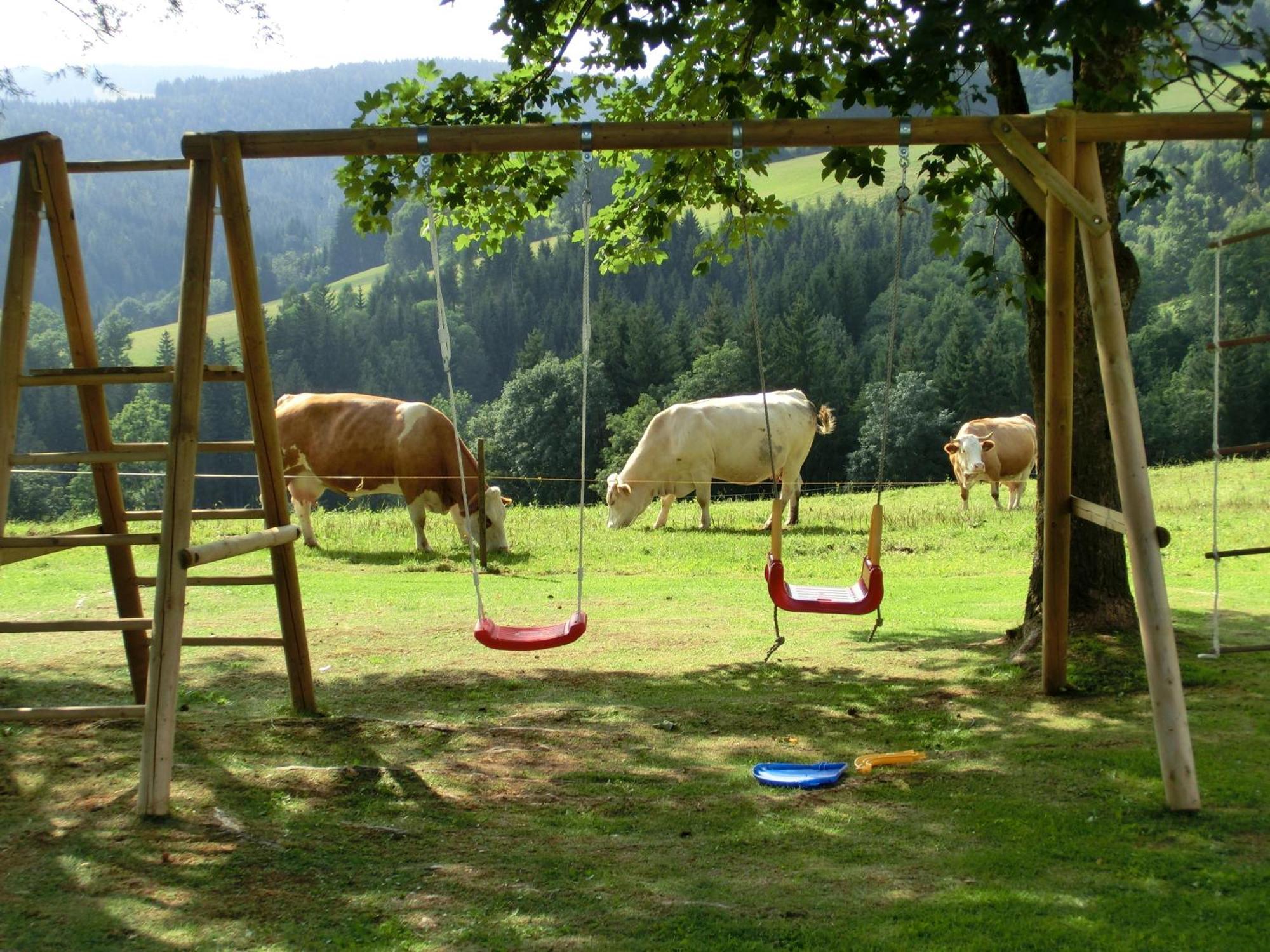 Villa Kniebergerhof Liebenfels Esterno foto
